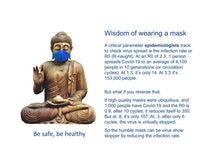 Load image into Gallery viewer, Buddha wearing mask
