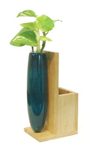 Load image into Gallery viewer, Storage Plant Holder