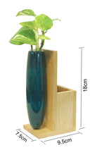 Load image into Gallery viewer, Storage Plant Holder with dimesions