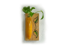 Load image into Gallery viewer, RITHU - Wall Hanging Plant Holder - Yellow - Fairkraft creations
