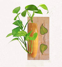 Load image into Gallery viewer, RITHU - Wall Hanging Plant Holder - Yellow
