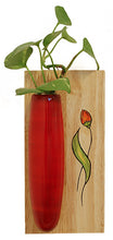 Load image into Gallery viewer, RITHU - Wall Hanging Plant Holder - Red
